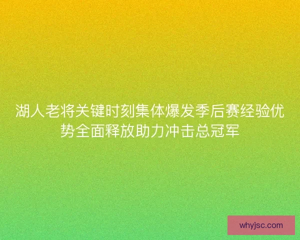 湖人老将关键时刻集体爆发季后赛经验优势全面释放助力冲击总冠军