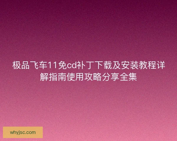 极品飞车11免cd补丁下载及安装教程详解指南使用攻略分享全集
