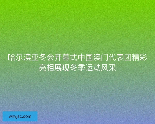 哈尔滨亚冬会开幕式中国澳门代表团精彩亮相展现冬季运动风采